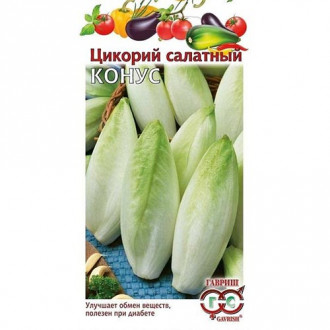 Салат цикорный Конус, семена изображение 6