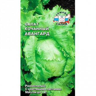 Салат кочанный Авангард, семена фото 13 Салат кочанный Авангард, семена изображение 13