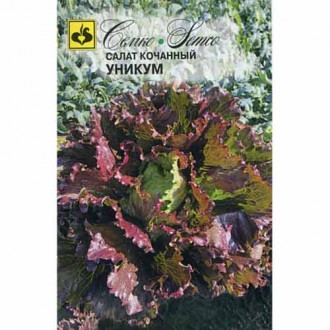 Салат кочанный (ромейн) Уникум Семко фото 10 Салат кочанный (ромейн) Уникум Семко изображение 10