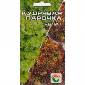 Салат кудрявый Кудрявая парочка, смесь сортов Сибирский сад изображение 5