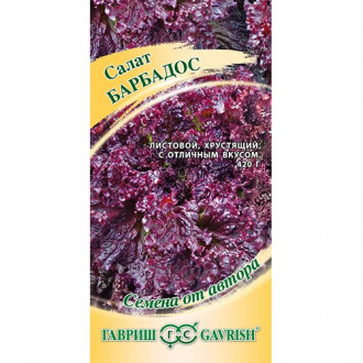 Салат листовой Барбадос, семена фото 9 Салат листовой Барбадос, семена изображение 9