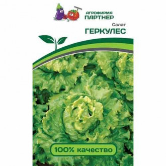 Салат листовой Геркулес Партнер изображение 5