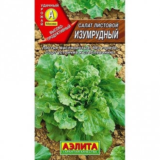 Салат листовой Изумрудный Аэлита изображение 5