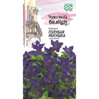 Сальвия Голубая ракушка, семена изображение 15