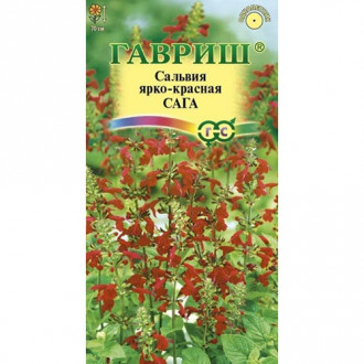 Сальвия Сага, семена изображение 3