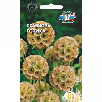 Скабиоза Готика, семена изображение 15