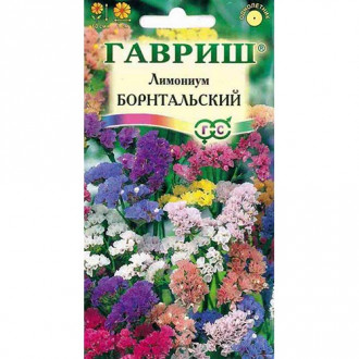 Статица (лимониум) Борнтальский, смесь окрасок изображение 7