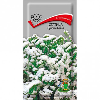 Статица Суприм белая, семена изображение 8