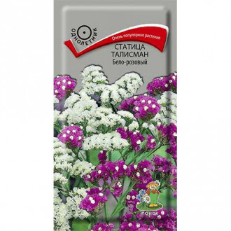 Статица Талисман Бело-розовый, семена изображение 16