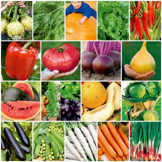 Суперпредложение! Набор семян овощей-гигантов из 18 упаковок изображение 5