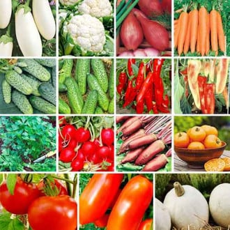 Суперпредложение! Набор семян Традиционные овощи из 15 упаковок изображение 3