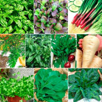 Суперпредложение! Набор семян Витаминная зелень из 10 упаковок изображение 1
