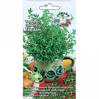 Тимьян (чабрец) Тарзан, семена изображение 10