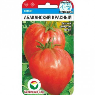 Томат Абаканский красный Сибирский сад изображение 4