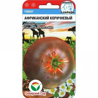 Томат Африканский коричневый Сибирский сад изображение 2