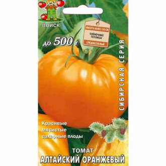 Томат Алтайский оранжевый Поиск изображение 5