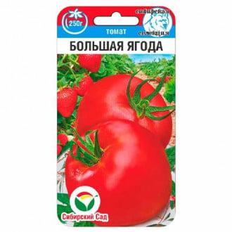 Томат Большая ягода Сибирский сад изображение 1