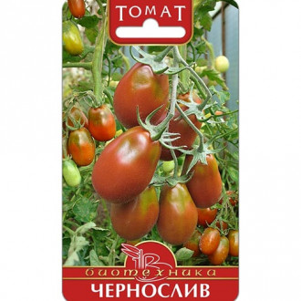 Томат Чернослив, семена изображение 3