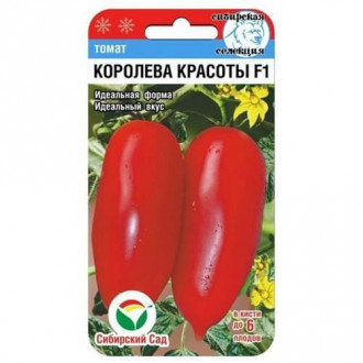 Томат Королева красоты Сибирский Сад изображение 4