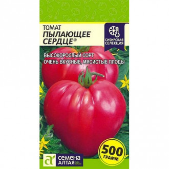 Томат Пылающее Сердце, семена изображение 14