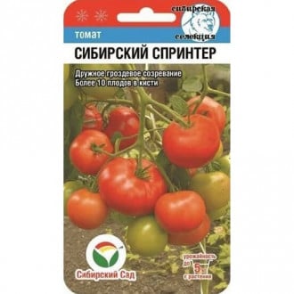 Томат Сибирский спринтер Сибирский Сад изображение 5