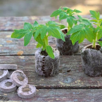 Торфяные таблетки Bt-31 для проращивания семян изображение 8