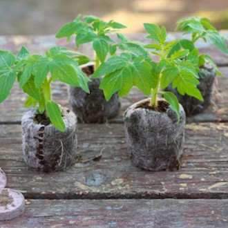 Торфяные таблетки Bt-37 для проращивания семян изображение 13