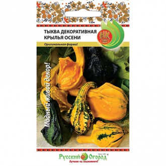 Тыква декоративная Крылья осени, смесь окрасок изображение 14