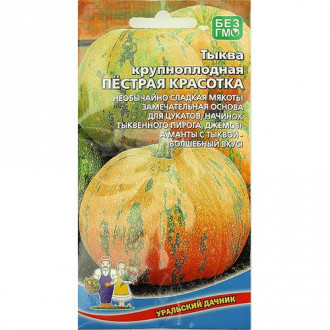 Тыква Пестрая красотка, семена изображение 6