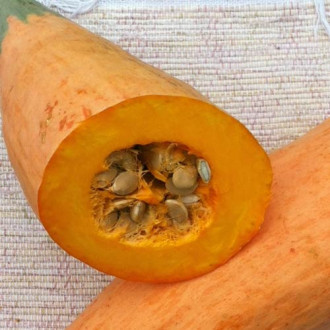 Тыква Розовый банан, семена изображение 18