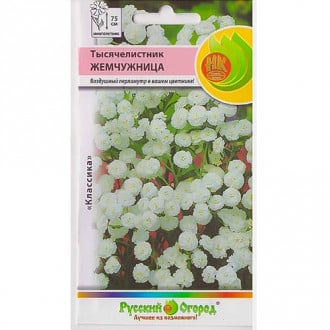 Тысячелистник (ахиллея) Жемчужница, семена изображение 11