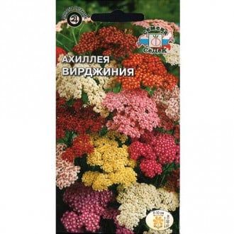 Тысячелистник (ахиллея) Вирджиния, смесь окрасок изображение 14