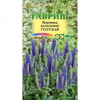 Вероника колосистая Голубая, семена изображение 12