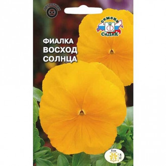 Виола Восход солнца, семена изображение 16