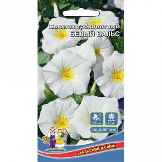 Вьюнок трехцветный Белый вальс, семена изображение 7