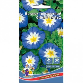 Вьюнок трехцветный Синий вальс, семена изображение 10