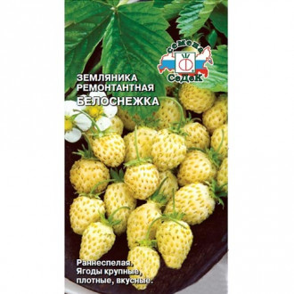 Земляника мелкоплодная ремонтантная Белоснежка, семена изображение 10