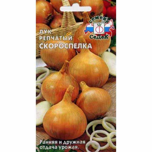Лук репчатый Скороспелка Седек изображение 1 артикул 98027