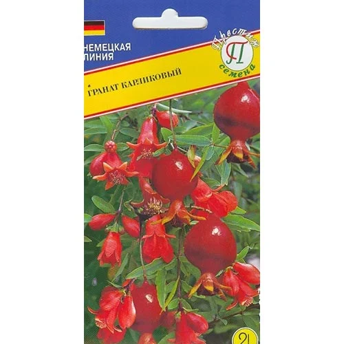 Гранат карликовый, семена изображение 1 артикул 93208
