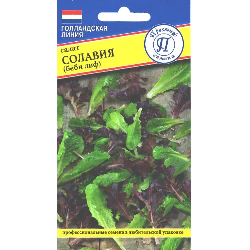 Салат листовой Солавия Престиж изображение 1 артикул 85428