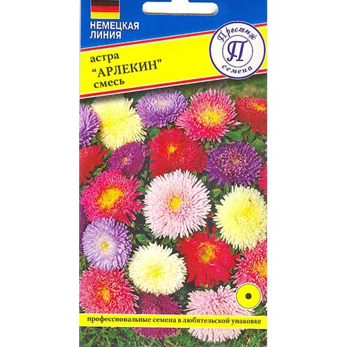 Астра Арлекин, смесь окрасок Престиж артикул фото 1 Астра Арлекин, смесь окрасок Престиж изображение 1 артикул 71972