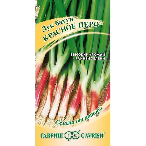 Лук на зелень Красное перо, семена изображение 1 артикул 91733