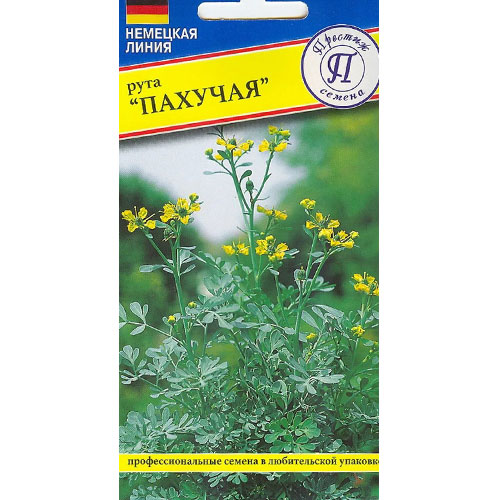 Рута овощная, семена артикул фото 1 Рута овощная, семена изображение 1 артикул 93223