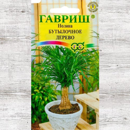 Нолина Бутылочное дерево Гавриш изображение 1 артикул 66098