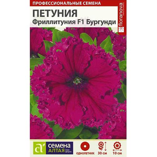 Петуния Фриллитуния Бургунди F1 Семена Алтая изображение 1 артикул 84777