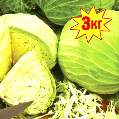 Капуста б/к Зимняя голова  F1, семена изображение 1 артикул 5912