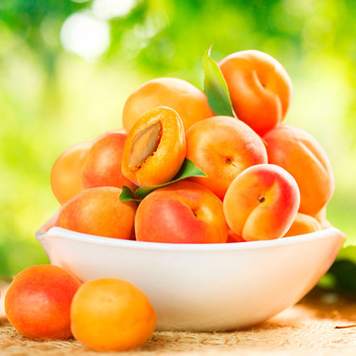 Абрикос Аврора изображение 1 артикул 4140