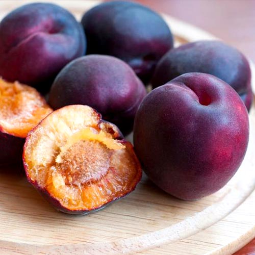 Абрикос Черный бархат изображение 1 артикул 7001