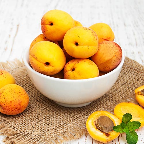 Абрикос Снегирек изображение 1 артикул 4157