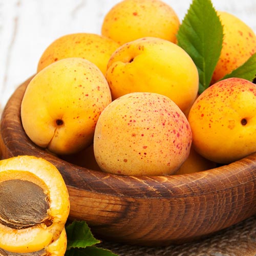 Абрикос Юбилейный изображение 1 артикул 4148